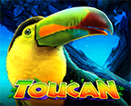 Toucan